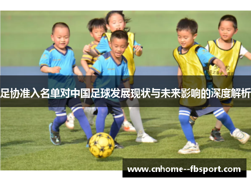 足协准入名单对中国足球发展现状与未来影响的深度解析