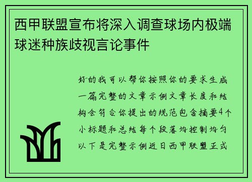 西甲联盟宣布将深入调查球场内极端球迷种族歧视言论事件